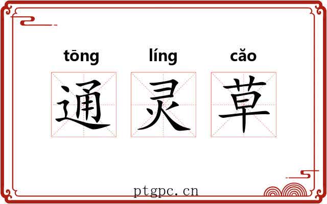 通灵草 通灵草