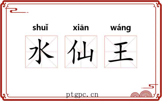 水仙王 水仙王