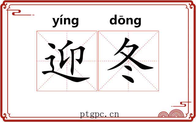 迎冬
