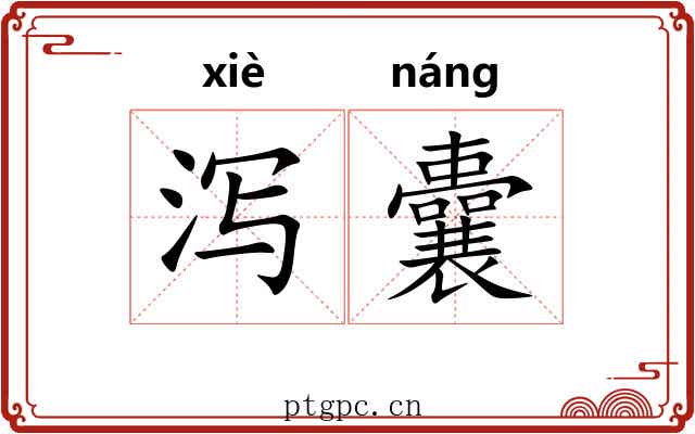 泻囊