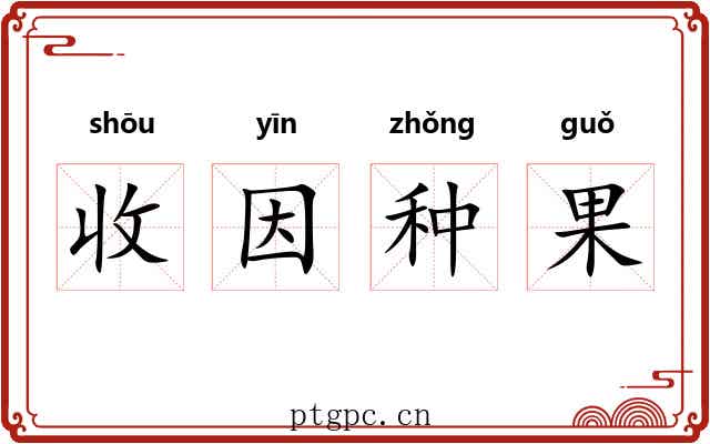 收因种果 收因种果
