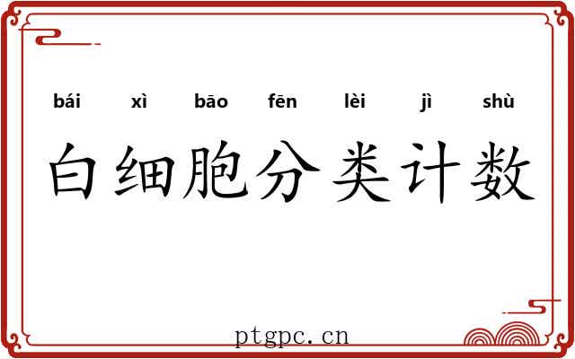 白细胞分类计数 白细胞分类计数