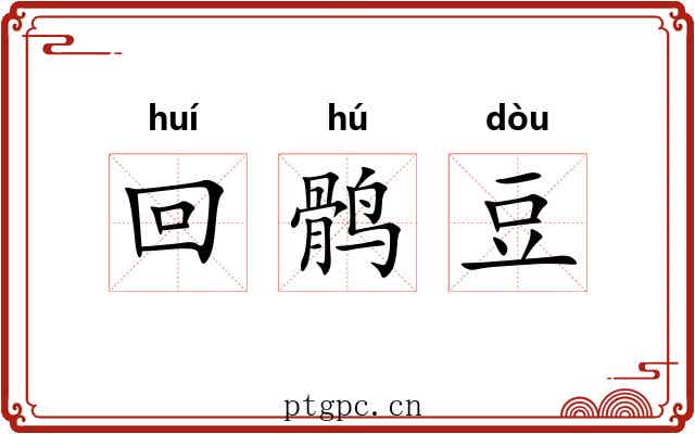 回鹘豆 回鹘豆