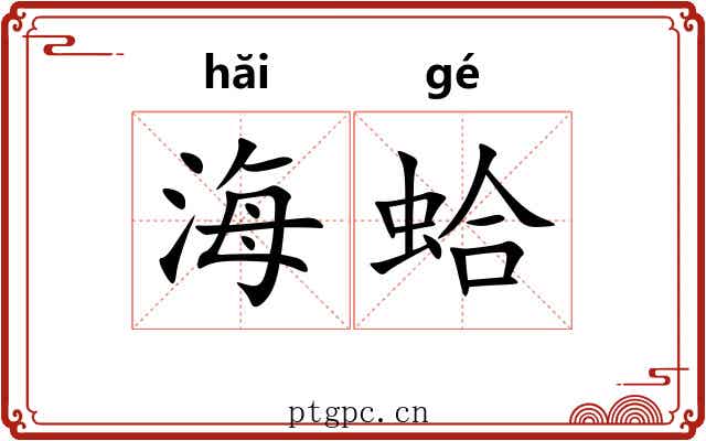 海蛤 海蛤