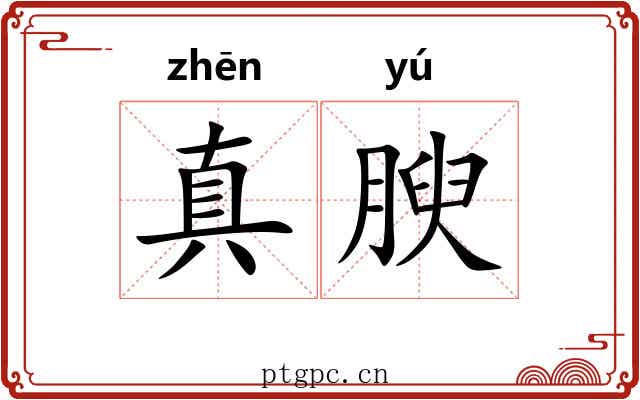 真腴