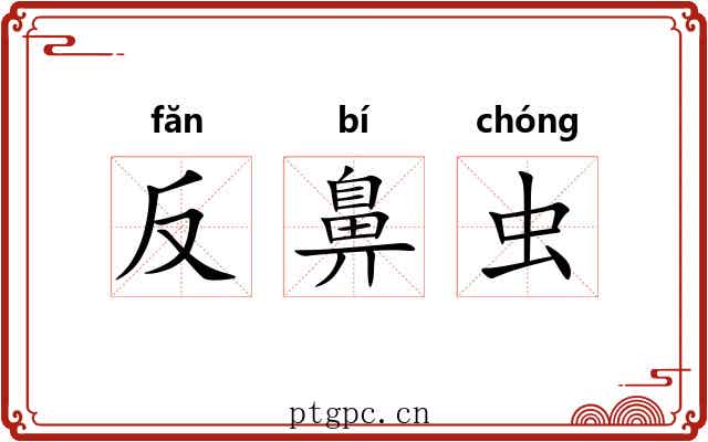 反鼻虫 反鼻虫