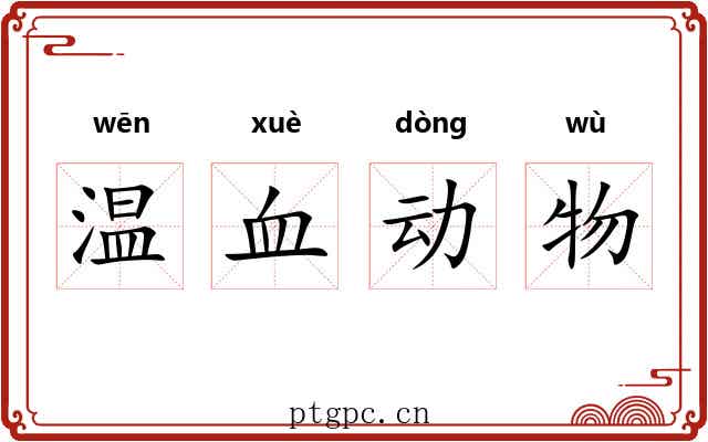 温血动物 温血动物