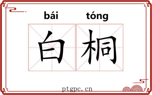 白桐 白桐