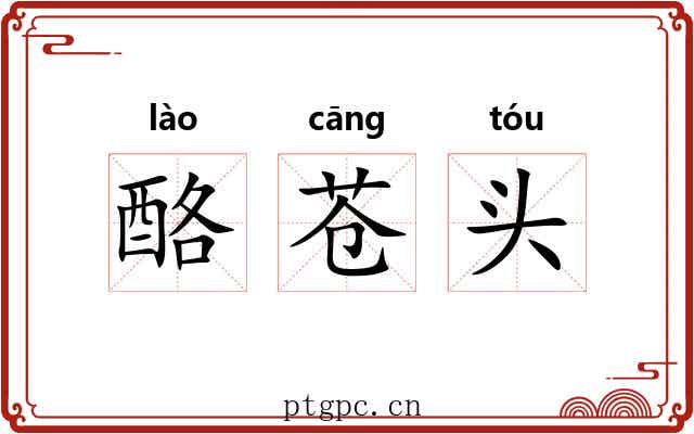 酪苍头
