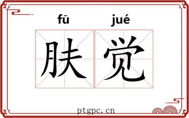 肤觉