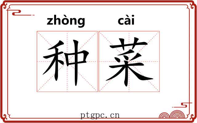 种菜 种菜