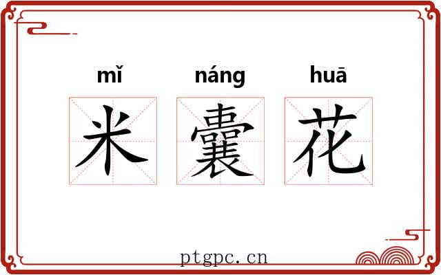 米囊花