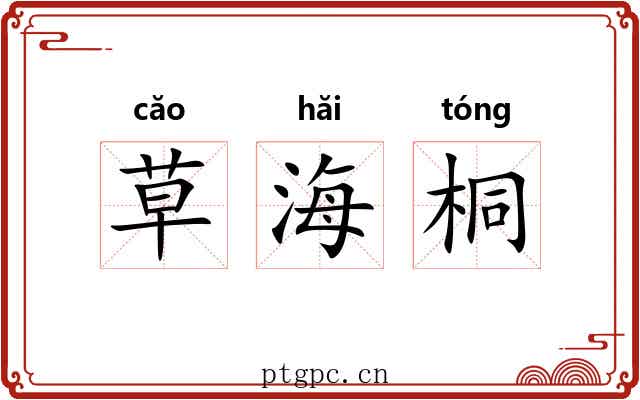 草海桐 草海桐