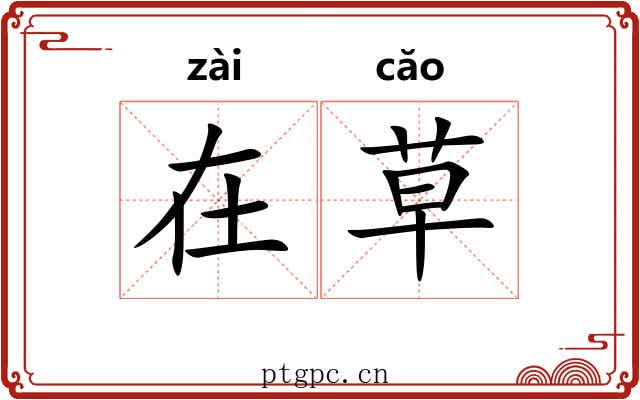 在草 在草
