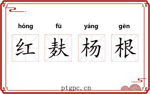 红麸杨根