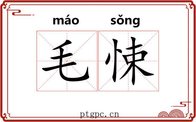 毛悚