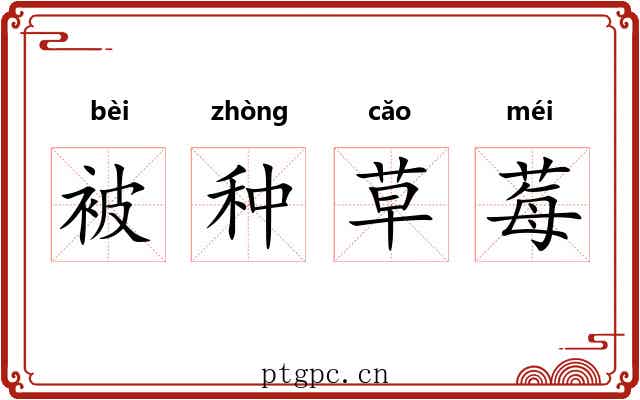 被种草莓 被种草莓