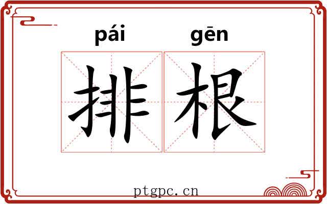 排根 排根