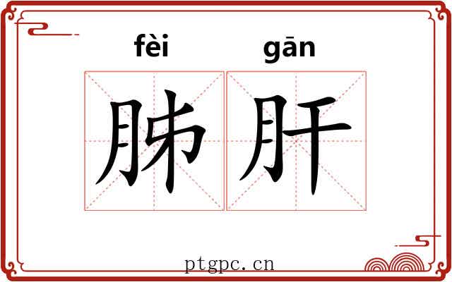 胏肝