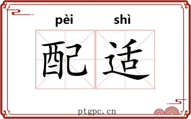配适 配适