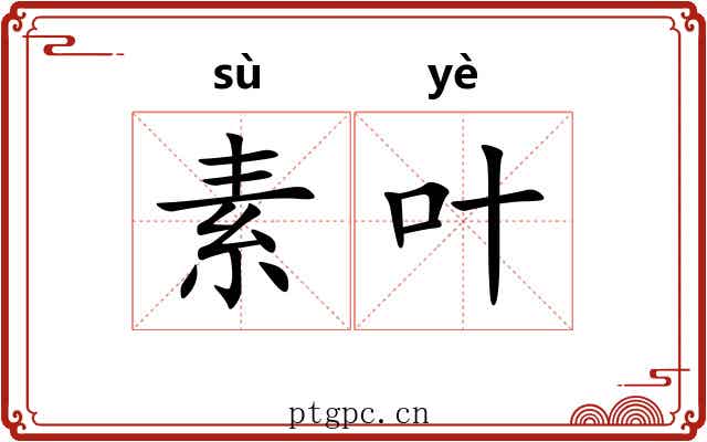 素叶 素叶