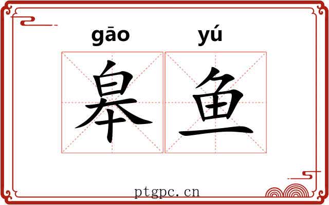 皋鱼 皋鱼