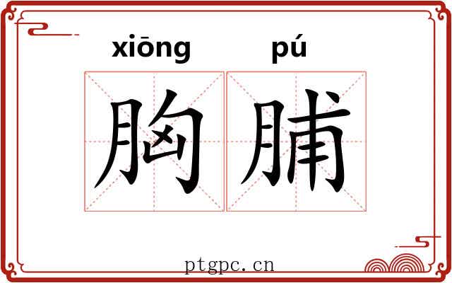 胸脯