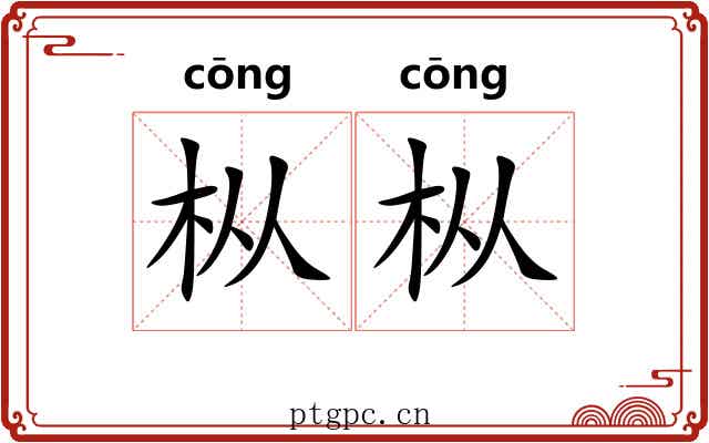 枞枞