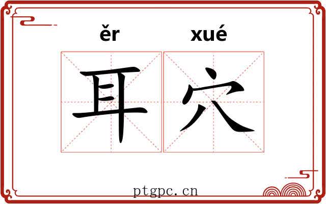 耳穴 耳穴