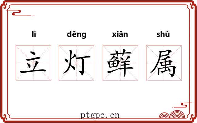 立灯藓属 立灯藓属