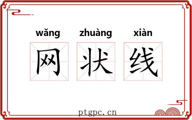 网状线 网状线
