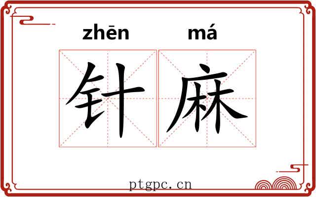 针麻 针麻