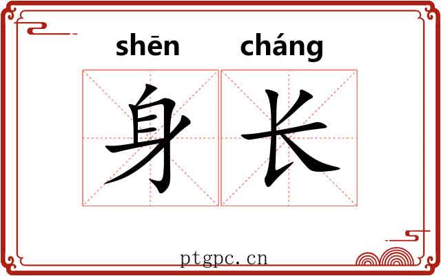 身长 身长