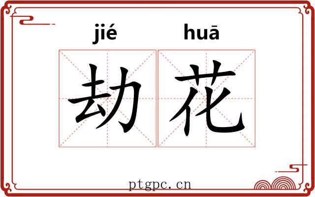 劫花 劫花