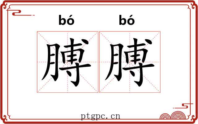 膊膊