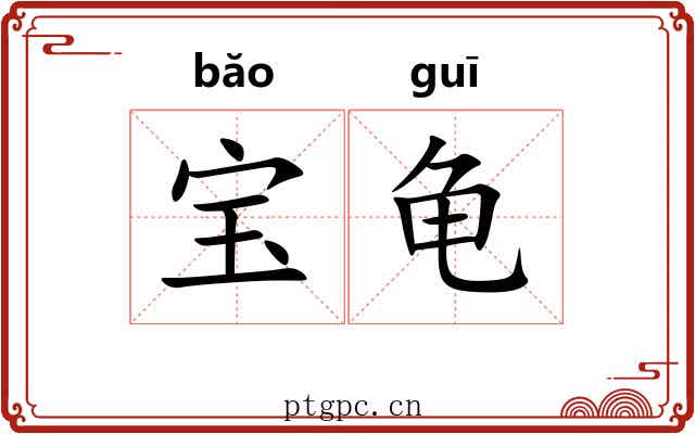 宝龟 宝龟