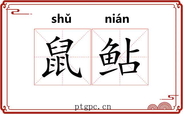 鼠鲇