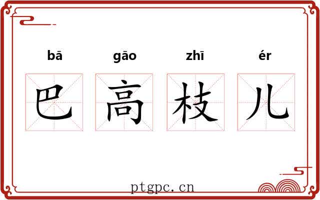 巴高枝儿 巴高枝儿