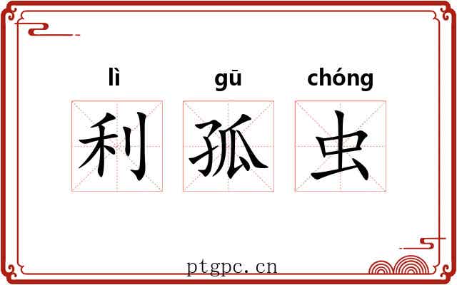 利孤虫 利孤虫