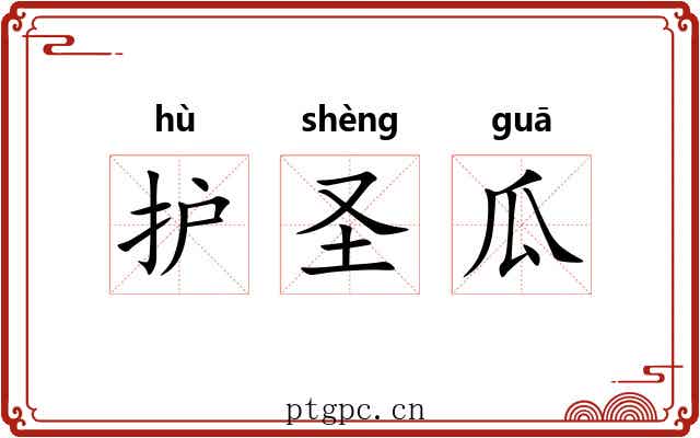 护圣瓜 护圣瓜