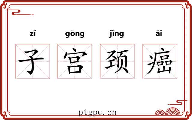 子宫颈癌 子宫颈癌