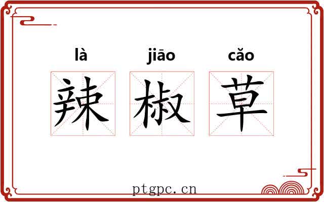 辣椒草