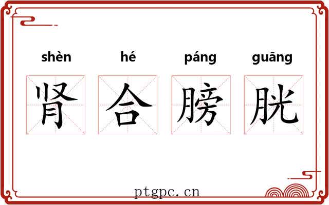 肾合膀胱 肾合膀胱