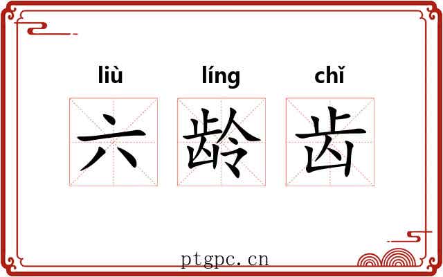六龄齿 六龄齿