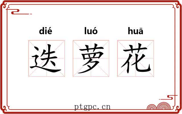 迭萝花 迭萝花