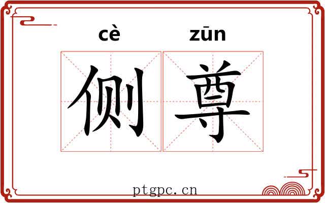 侧尊
