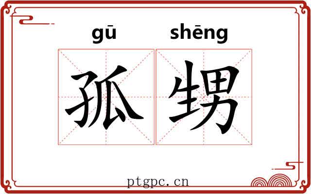 孤甥