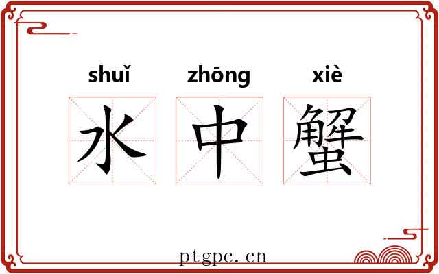 水中蟹 水中蟹