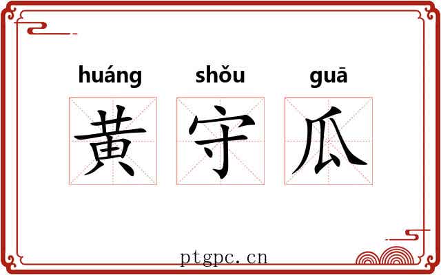黄守瓜 黄守瓜