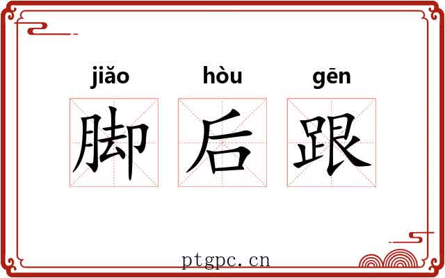 脚后跟 脚后跟